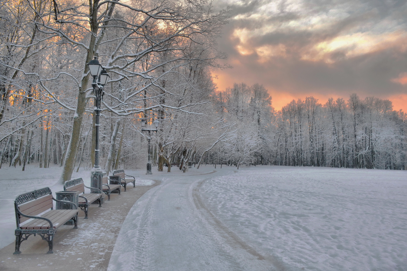 московский парк зимой