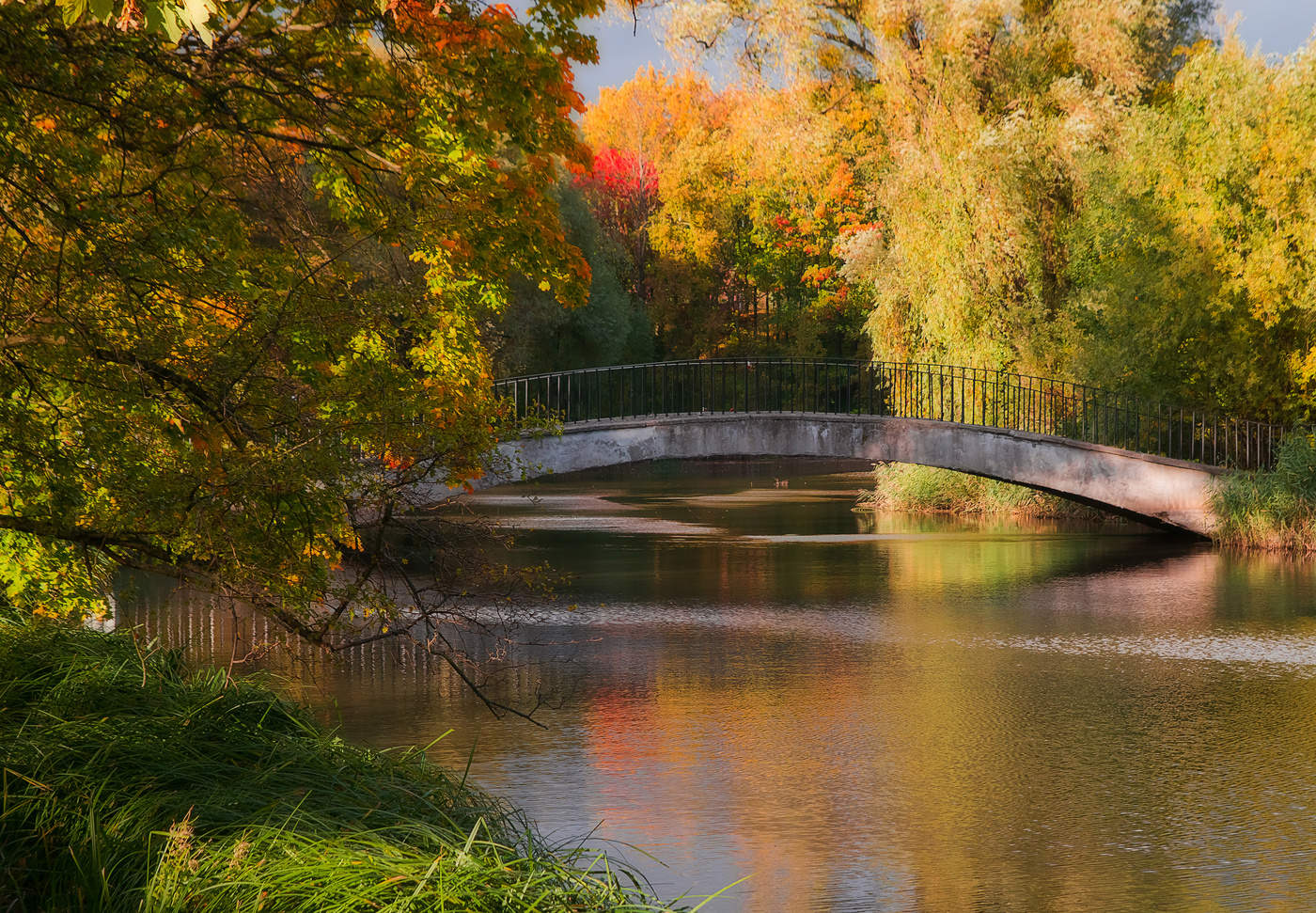 Калининград Лебединый мост осень