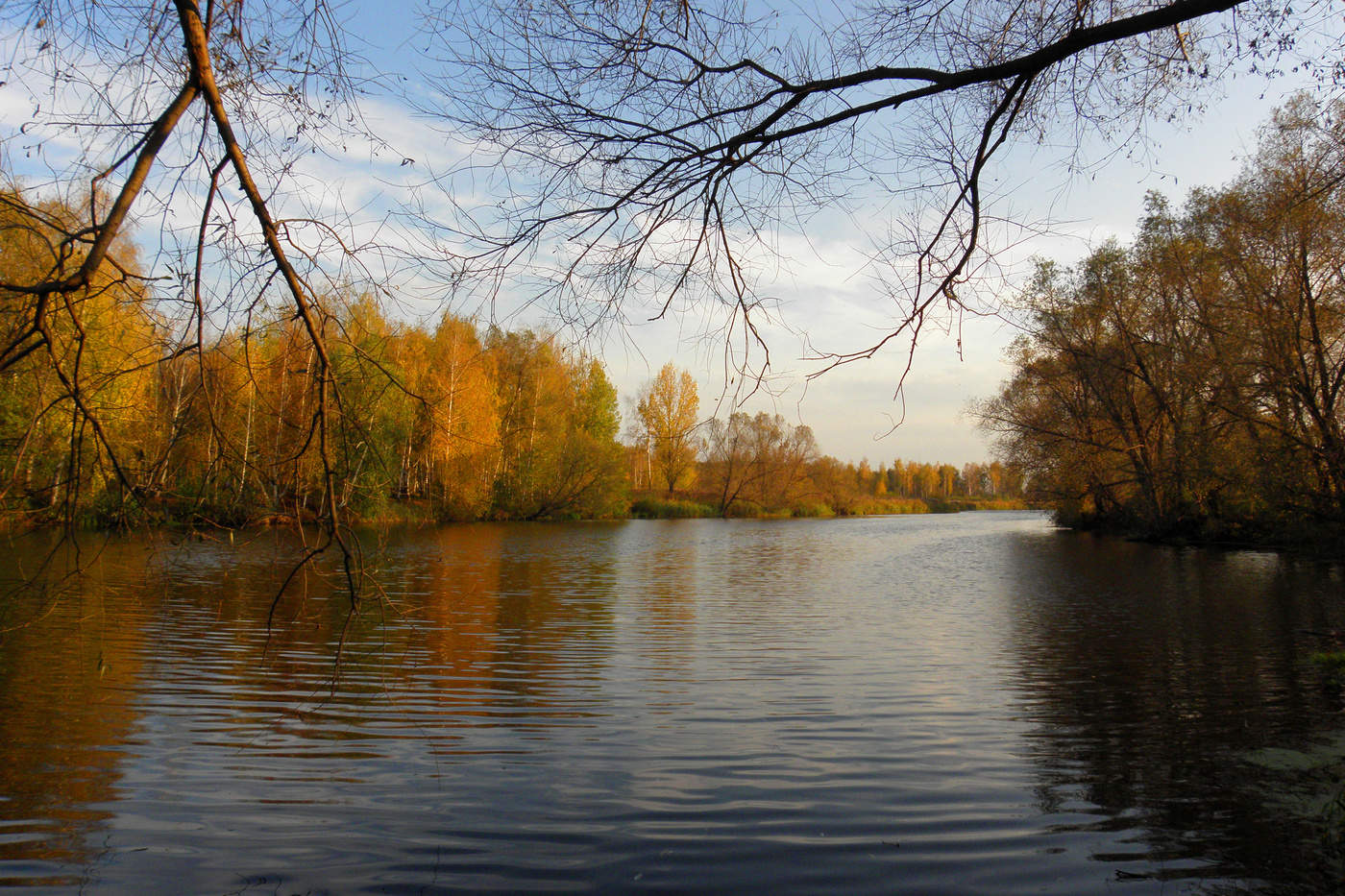 Река новая. Река Усманка Липецкая область. Новая Усмань река Усманка. Усмань (река). Река Усмань в Липецкой области.