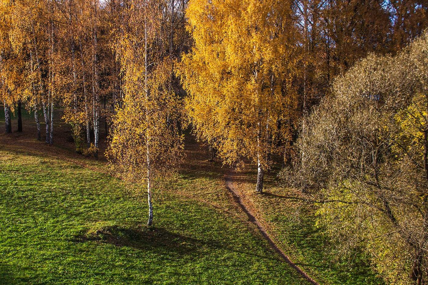 Осень тома. Полоцк осенний. Полоцк осенью. ТОГУ осень. Полоцк осенью фото.