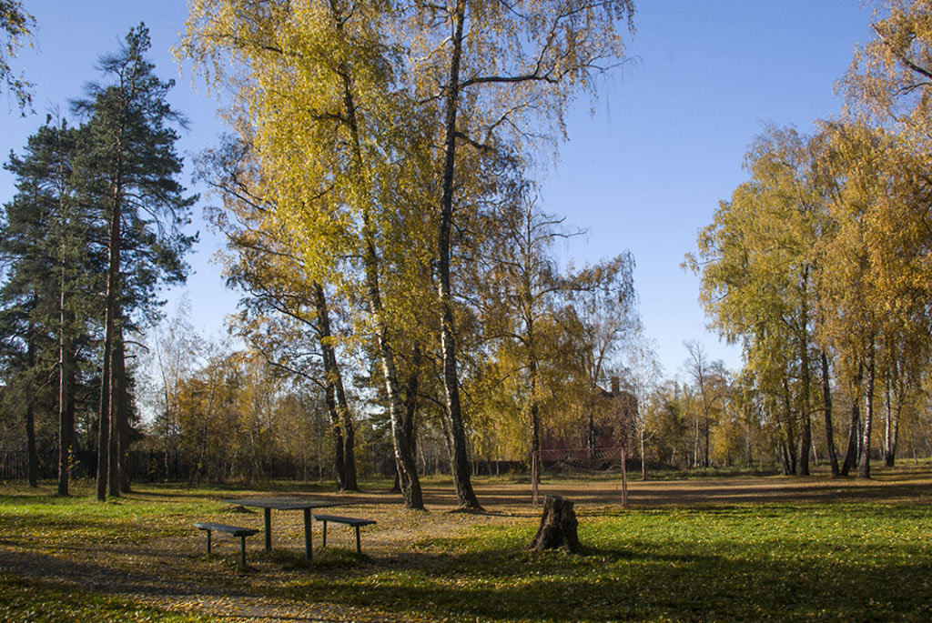 Парк барыши щербинка фото