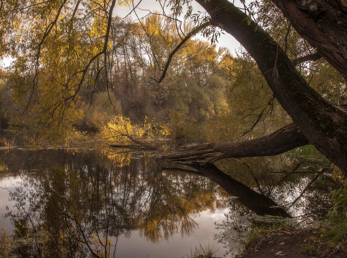 Река Коломенское осенью