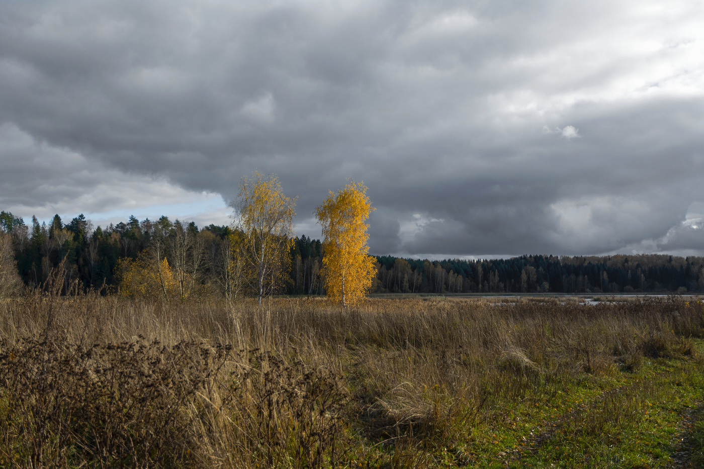 Климат Московской области осенью