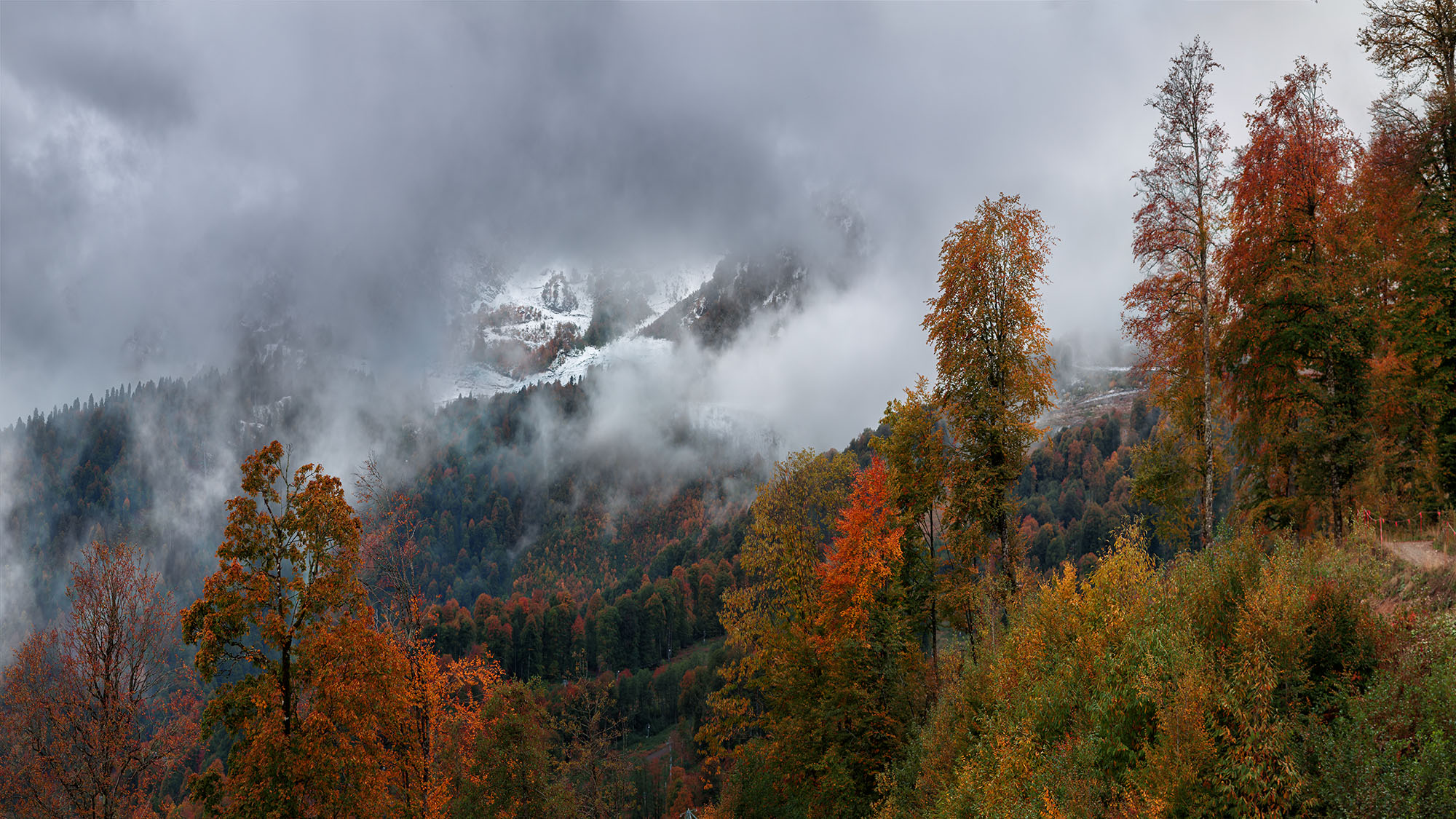 Осень в горах дождь