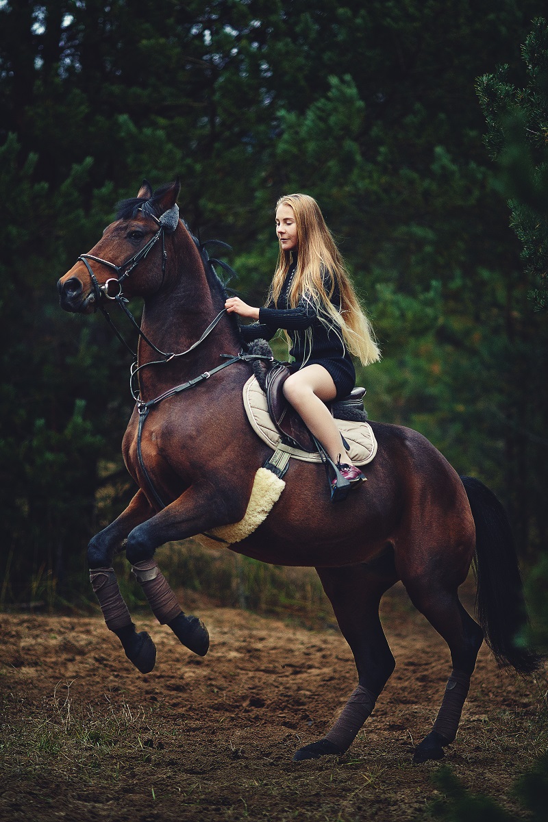 Фото на лошади верхом девушка