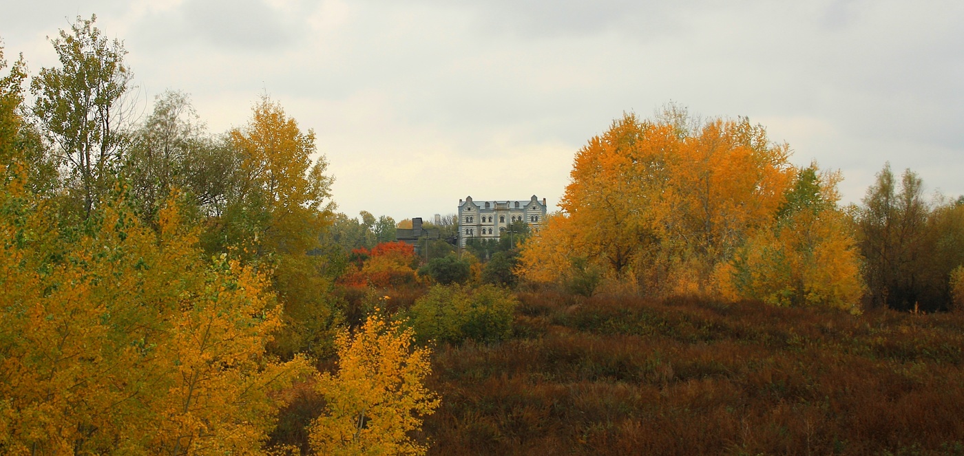 Осенняя фотография Саратовская область