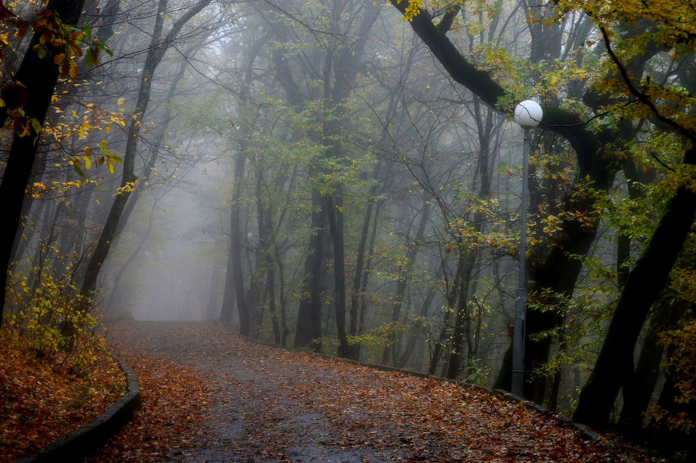 Осень парк туман