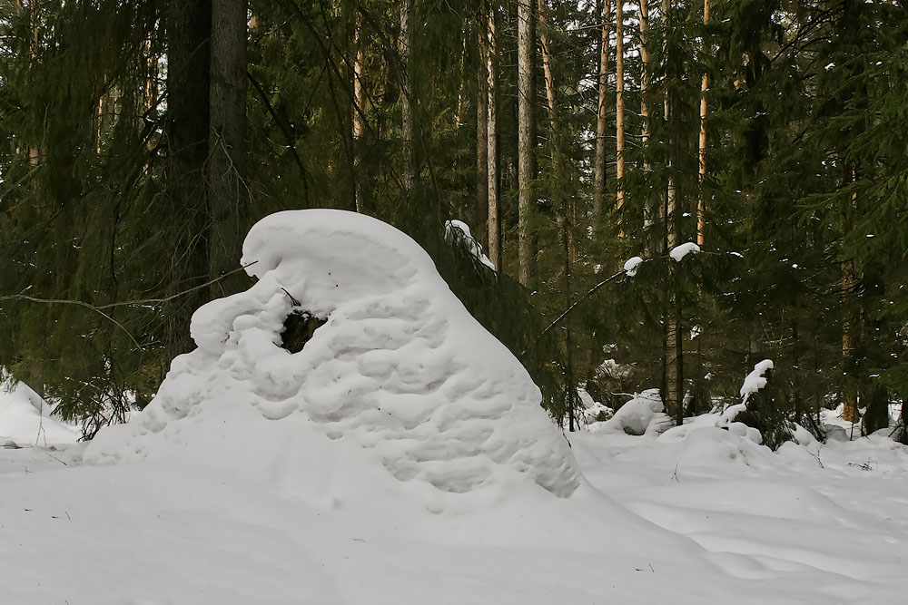 Сугроб с глазами. Сугробы в лесу. Снежные скульптуры в лесу. Снег сугробы. Причудливые сугробы.
