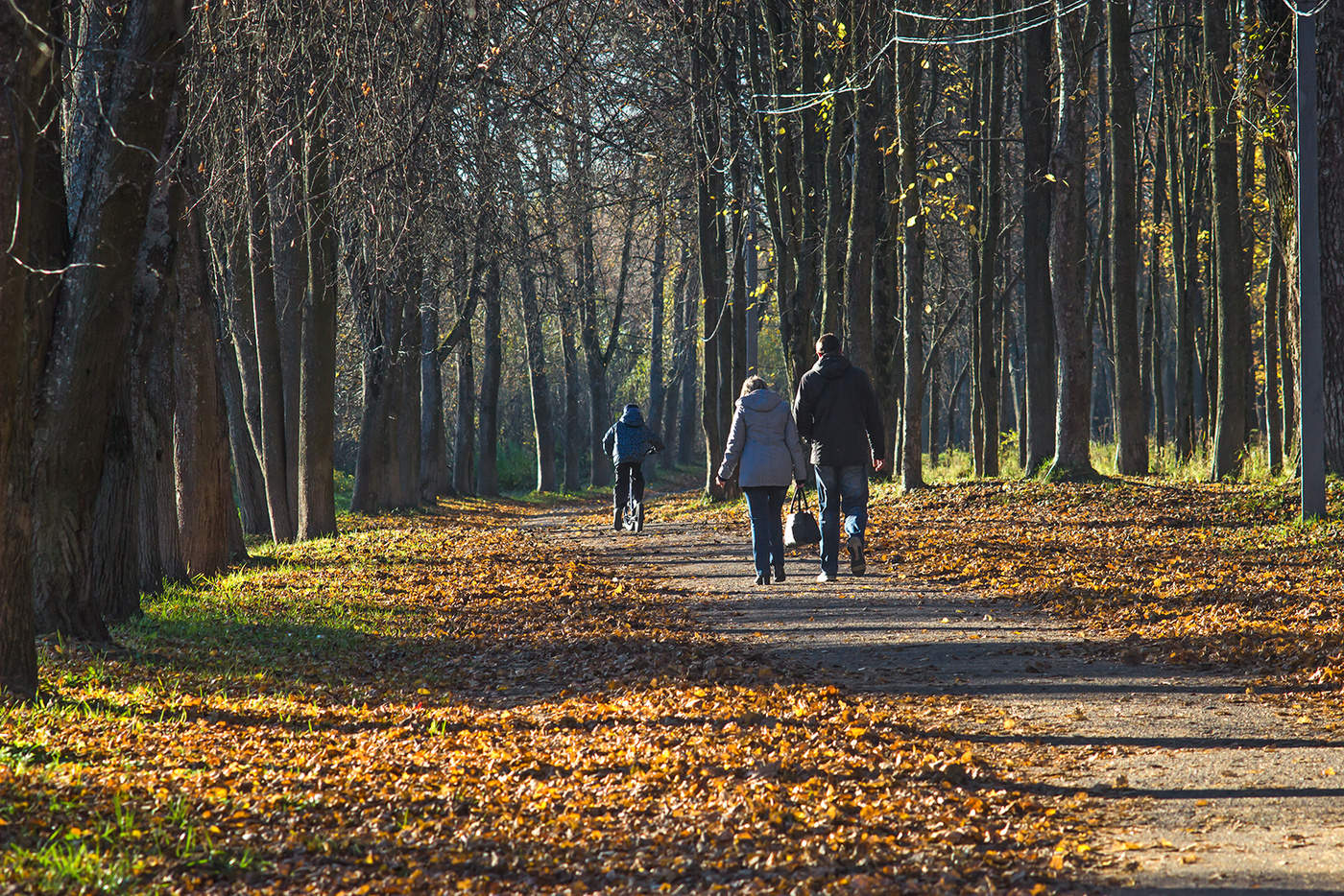 Однажды парком гулять. Прогулка в парке. Осенняя прогулка. Прогулка в осеннем парке. Осень прогулка в парке.