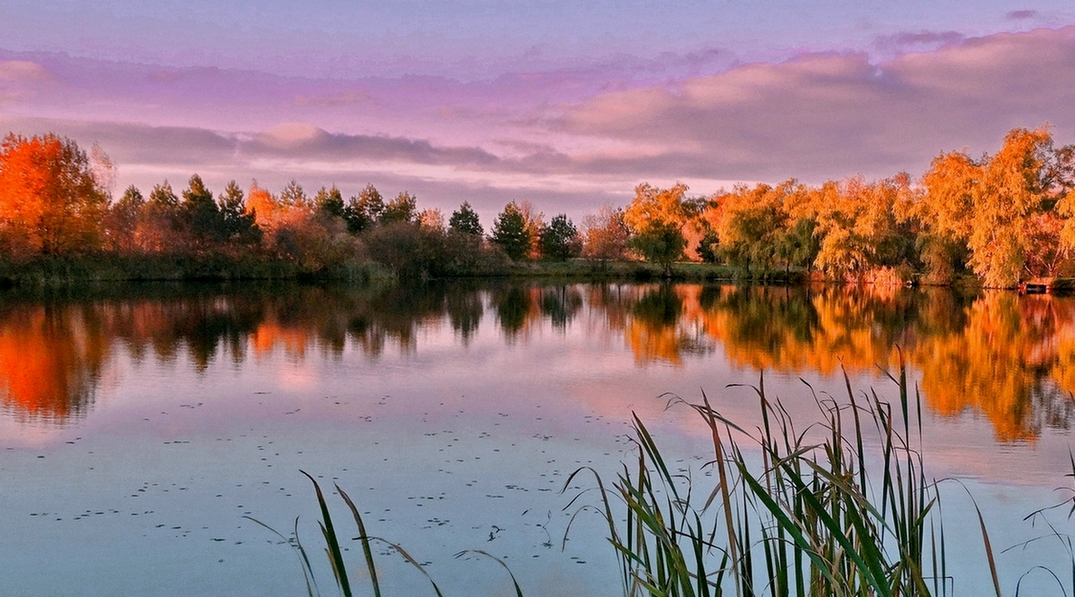 Осень октябрь озеро