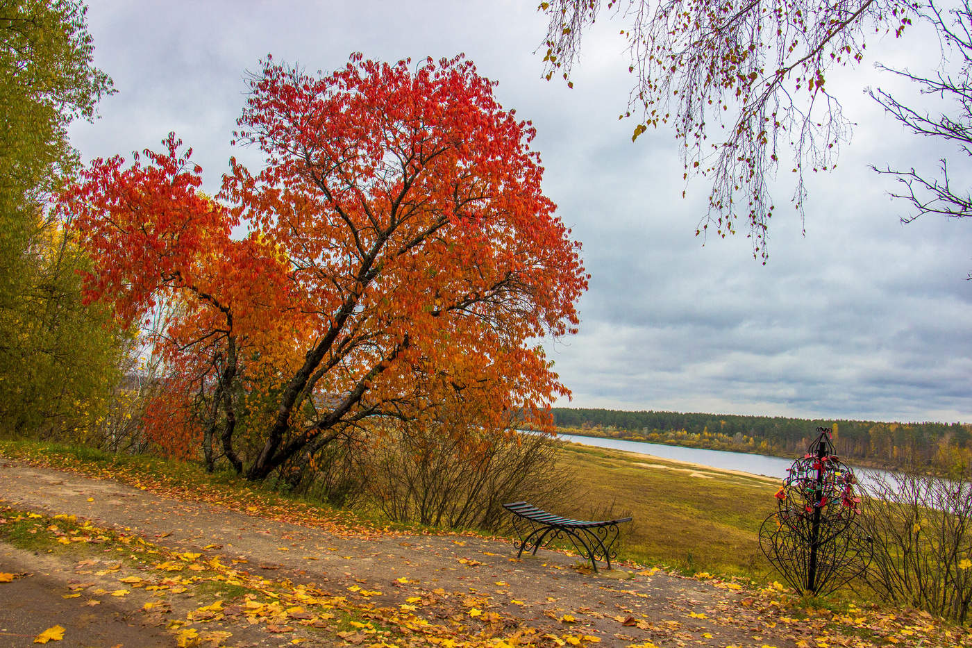 Осенний пейзаж в Молдове