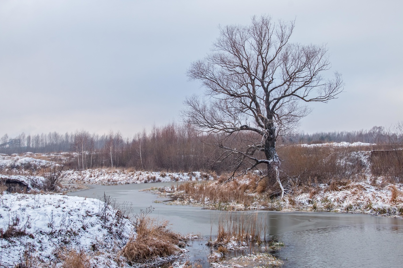 Предзимье картинки. Филипп. Предзимье.. Предзимье фото. Предзимье пейзажи фото. Предзимье прикольные картинки.