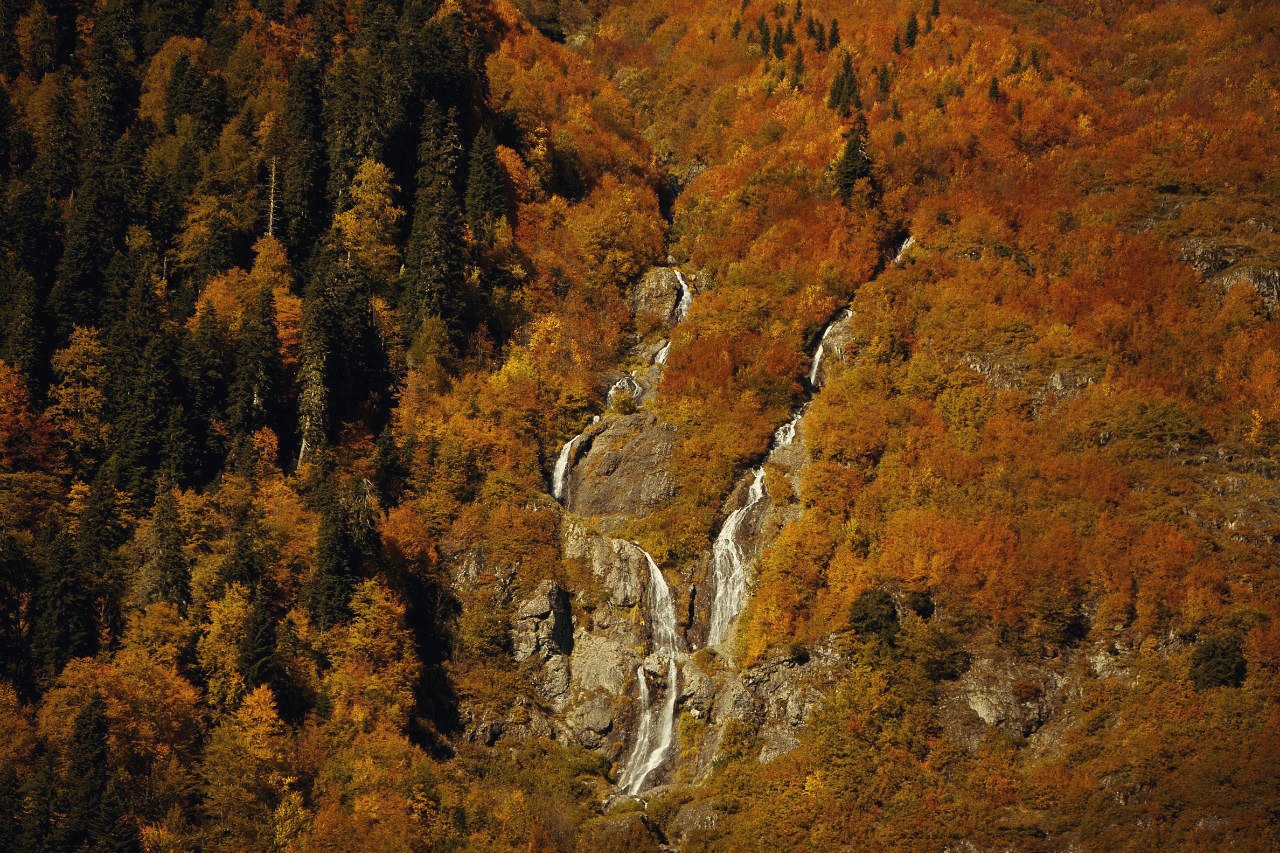 Золотая осень в Абхазии