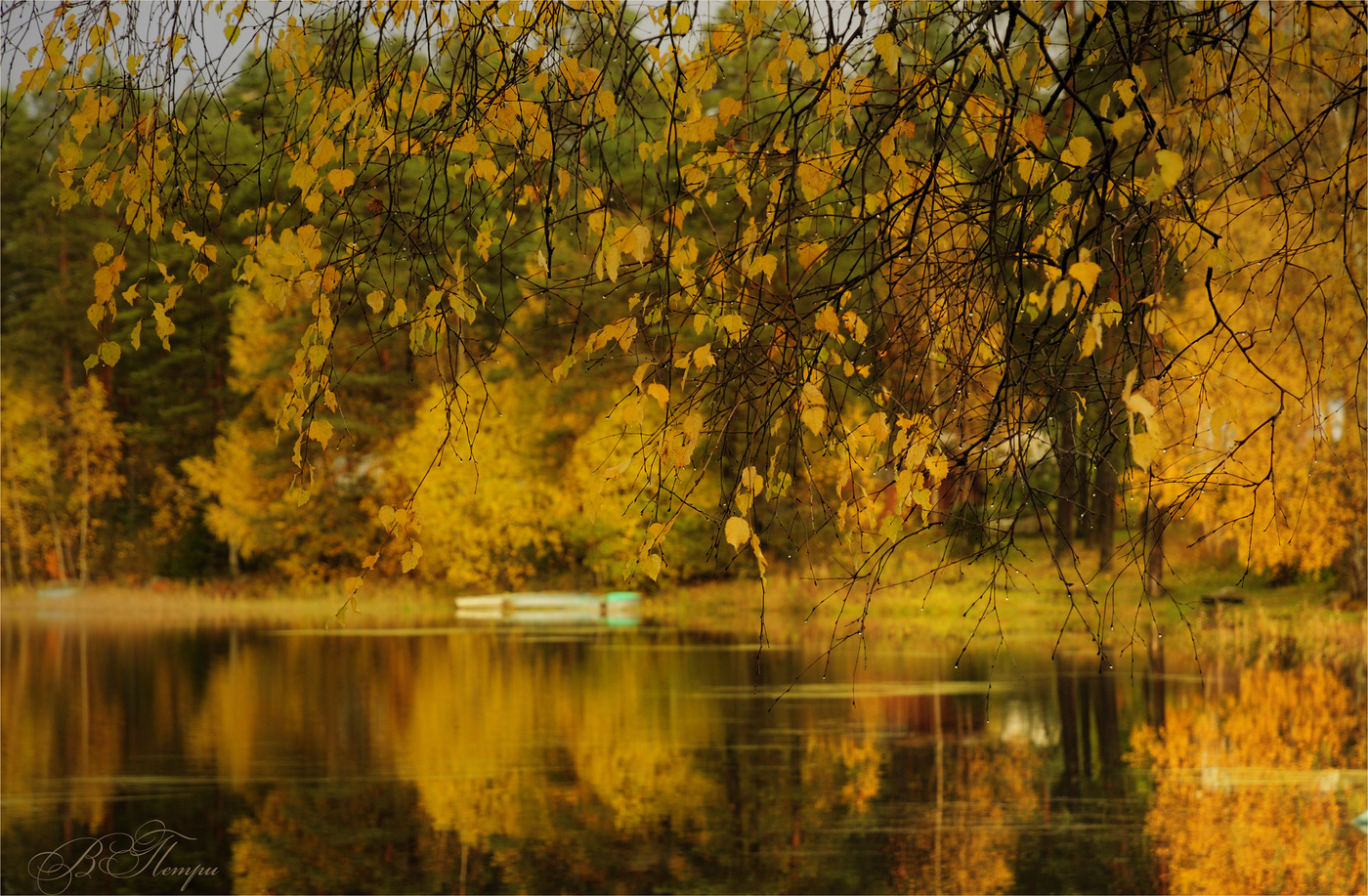 Осенний блюз фото картинки красивые