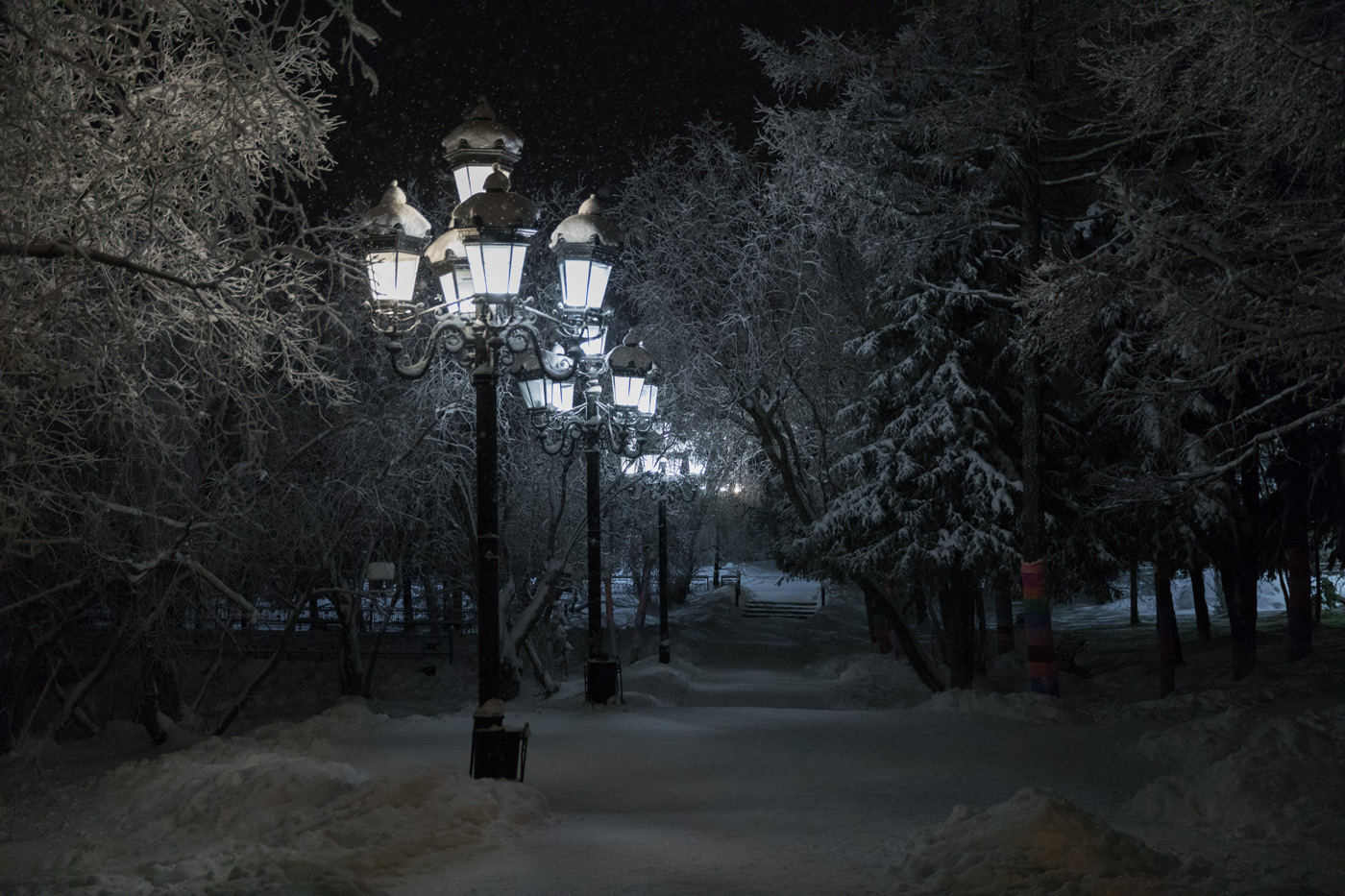 Городской сад салехард