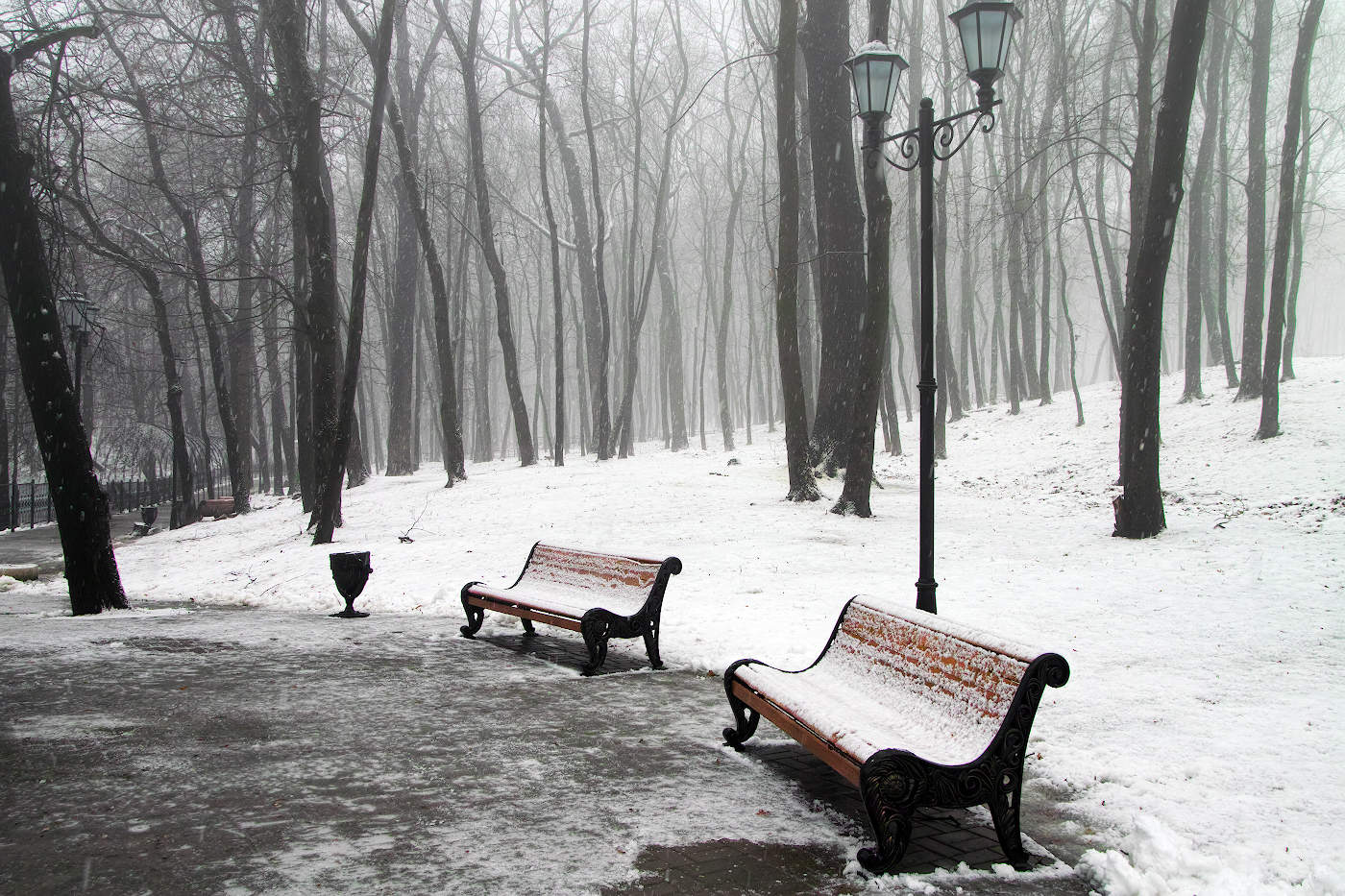скамейка в зимнем парке
