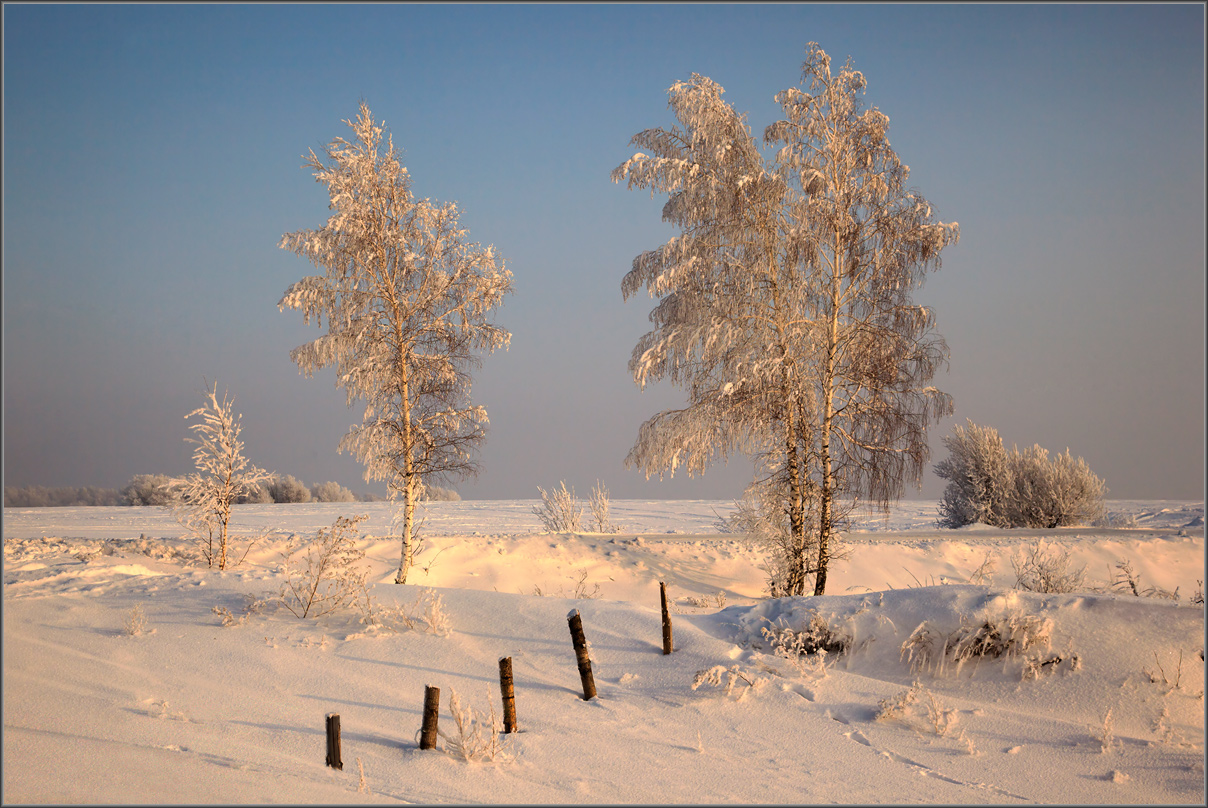 света зима фото