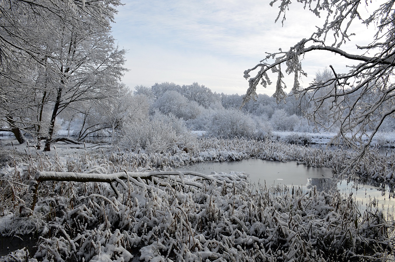 Парк Дрозды Минск зимой