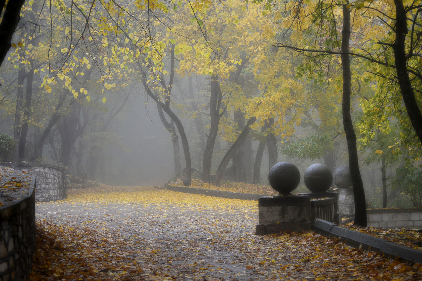 Старинный парк. Железноводск осень. Железноводск осенью. Железноводск парк. Железноводск осенний парк.