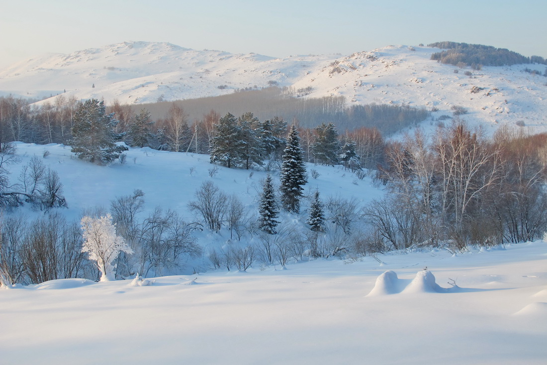 Княжьи горы усть каменогорск