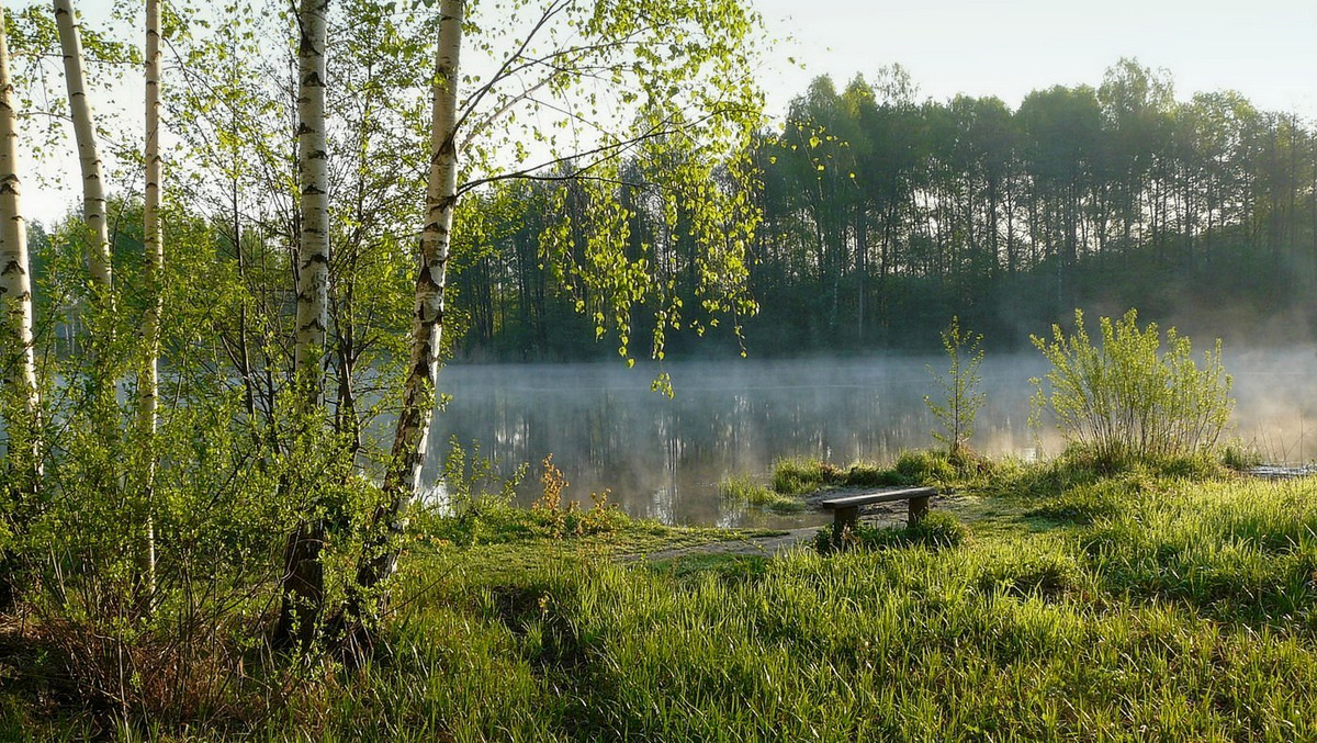 Утро май фото