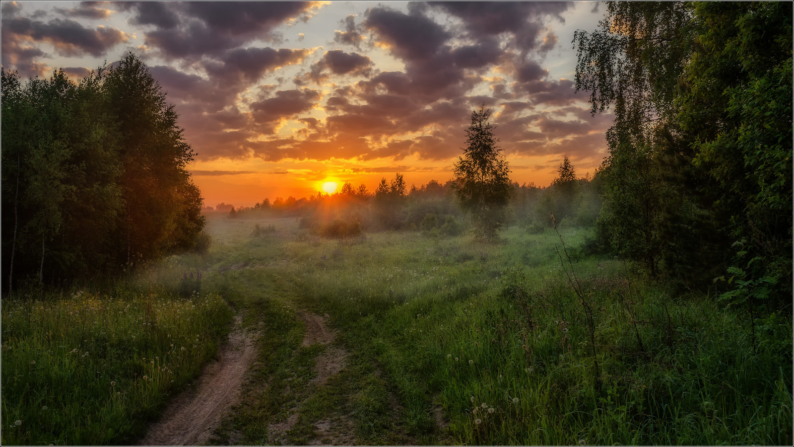 Июньский рассвет фото