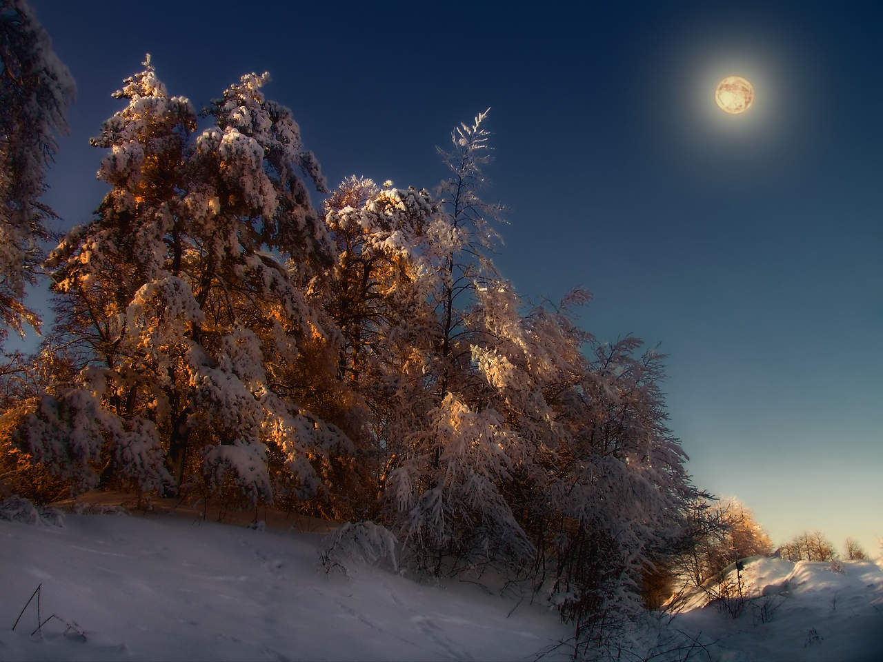 Фото Вечера Зима