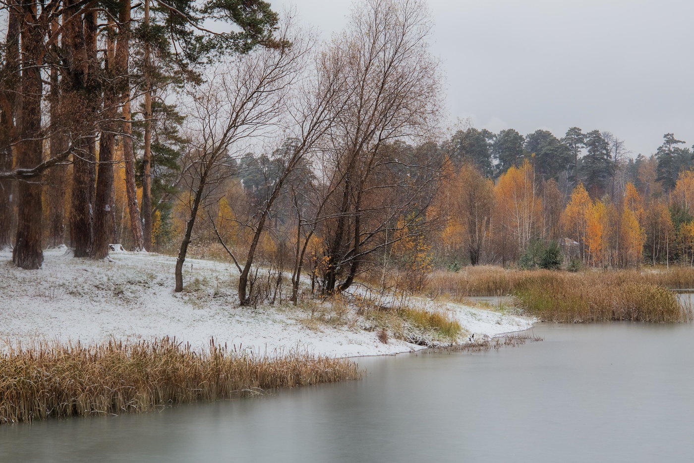 Лебяжье озеро Казань зима