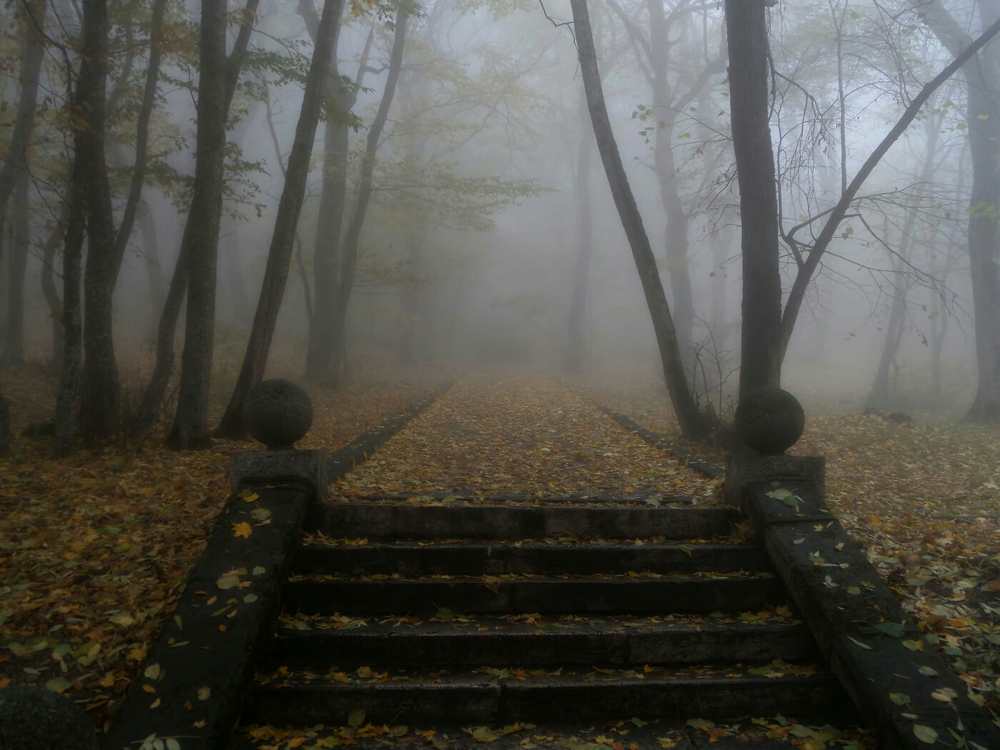 В старом парке