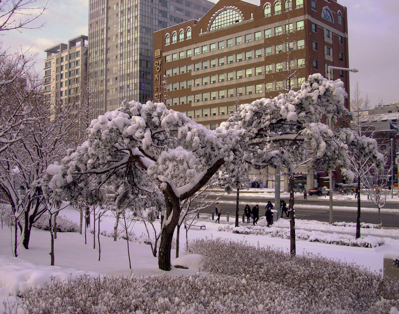 Корея зимой Сеул Эстетика