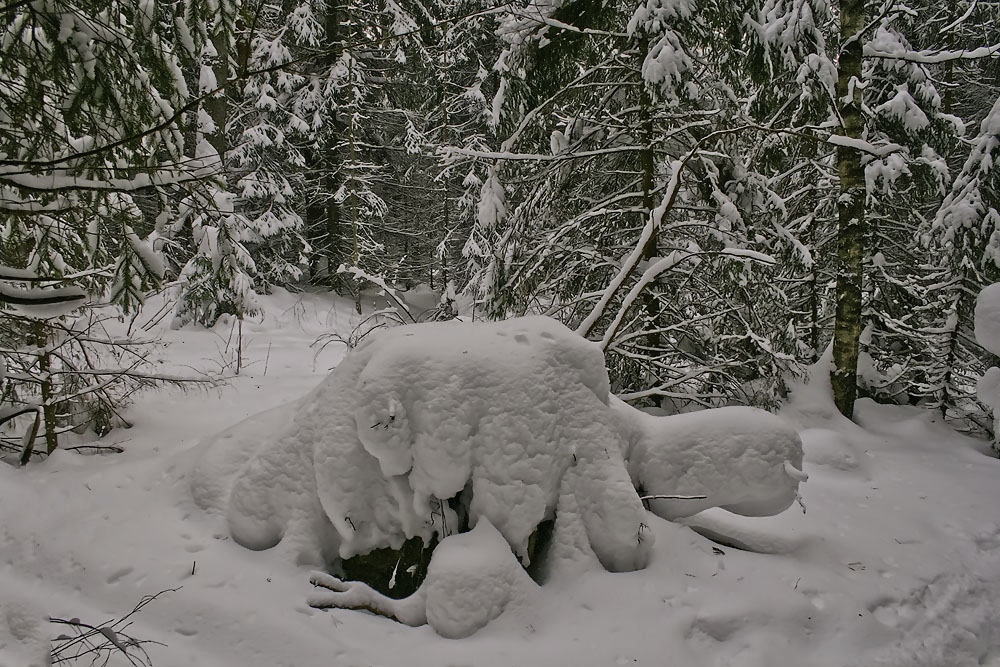 Сугроб с глазами. Снежные скульптуры в лесу. Сугробы в лесу. Причудливые фигуры из снега. Сугробы в виде зверей.
