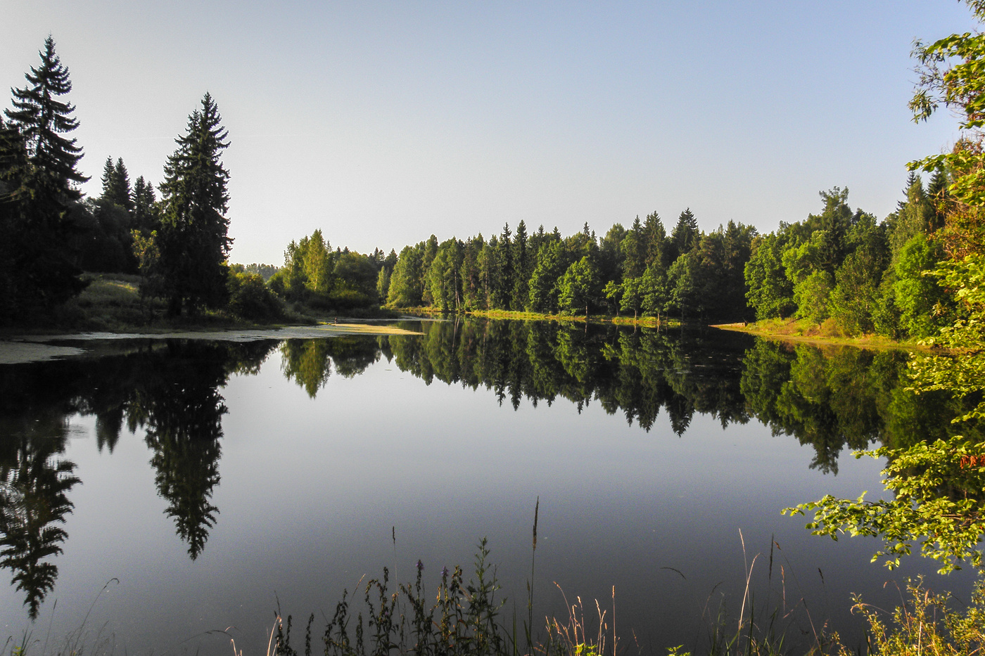 Озеро в Новодугино Смоленская