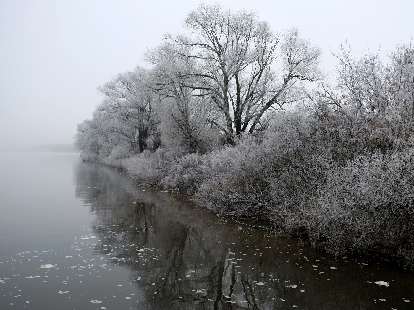 Лес в инее. Река иней. Река иней. Зимняя река. Зимние деревья.