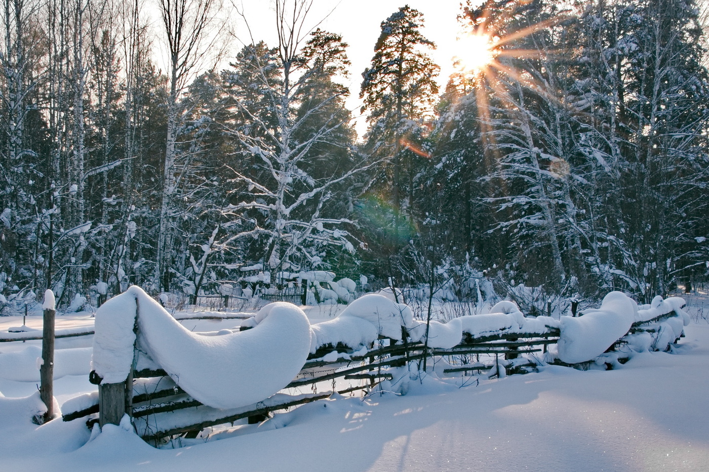 Томск зимой. Зимний Томск. Томск зима. Природа Томска зимой. Томск пейзаж зима.