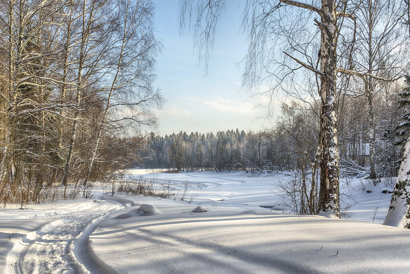 река жиздра зимой