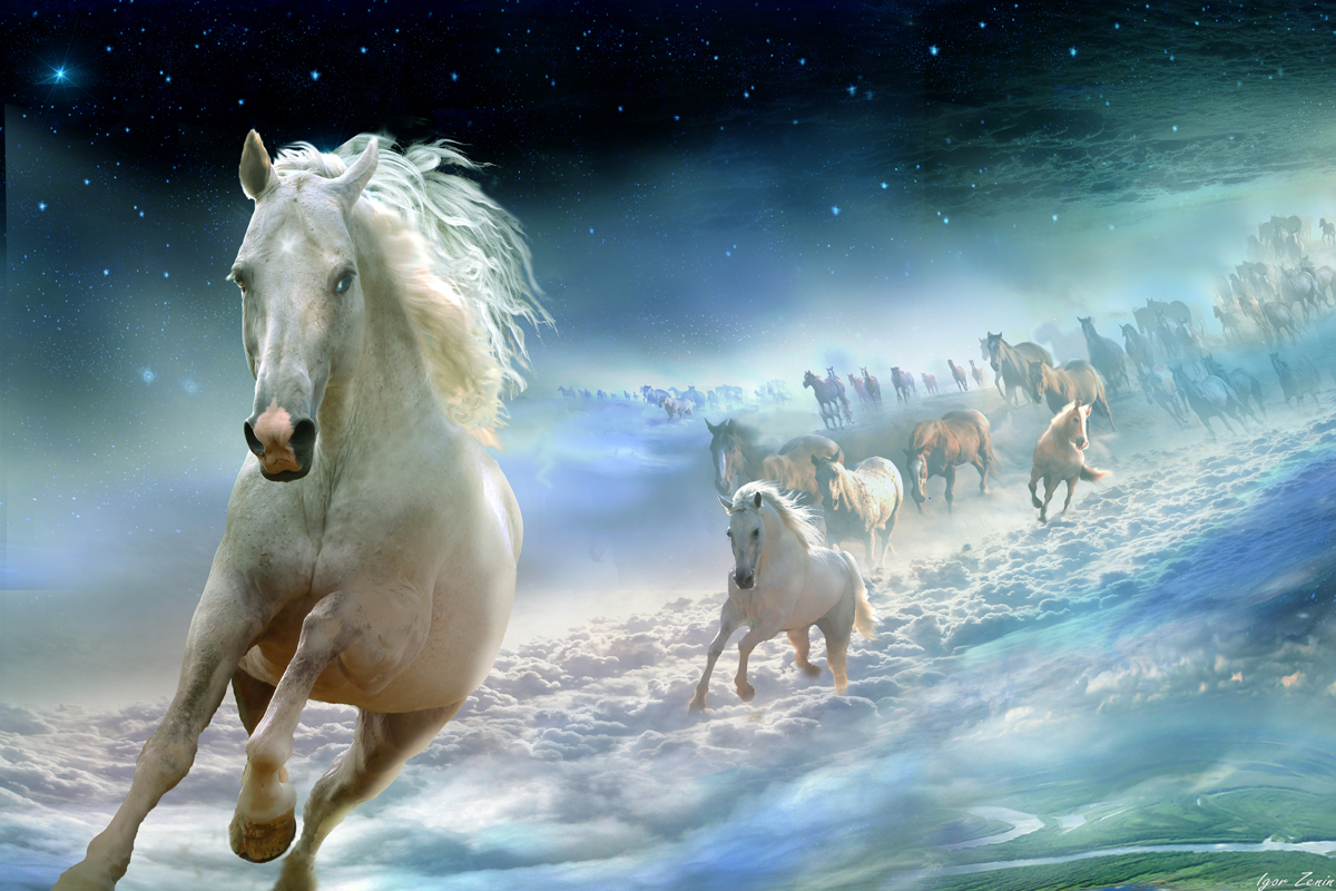 Небо на кону. Лошади фотохудожника Игоря Зенина. Небесные лошади. Белая лошадь. Лошади фэнтези.