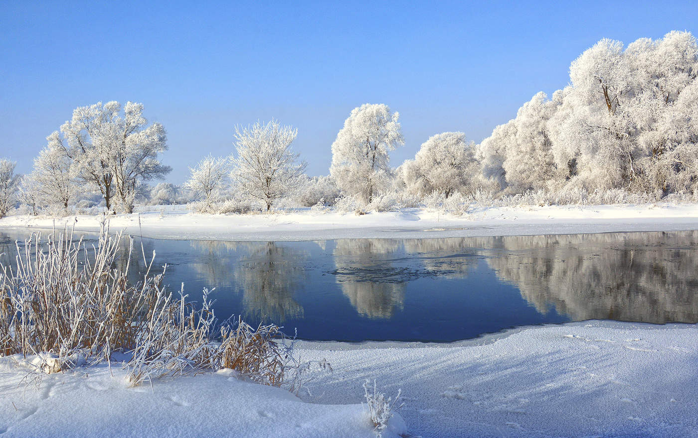 Красота зимы