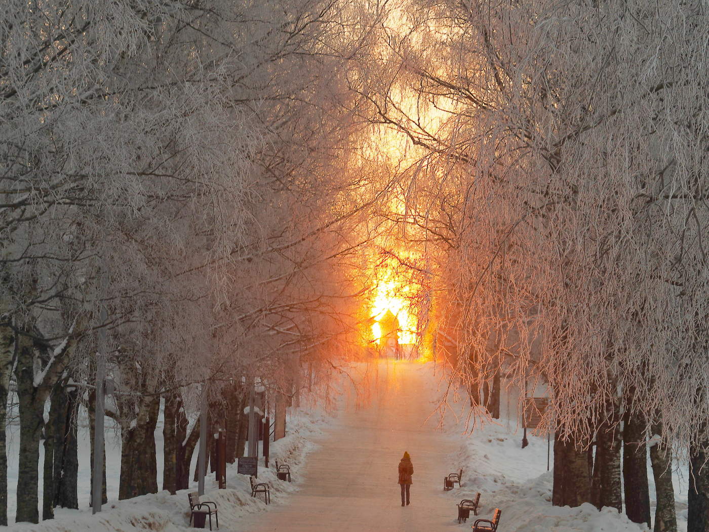 Зимнее утро Нижний Новгород зима в Нижнем Новгороде