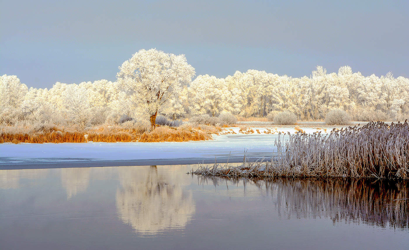 иней на реке урал. река зимой. береза зима. притоки реки иней. минусинск река зимой.
