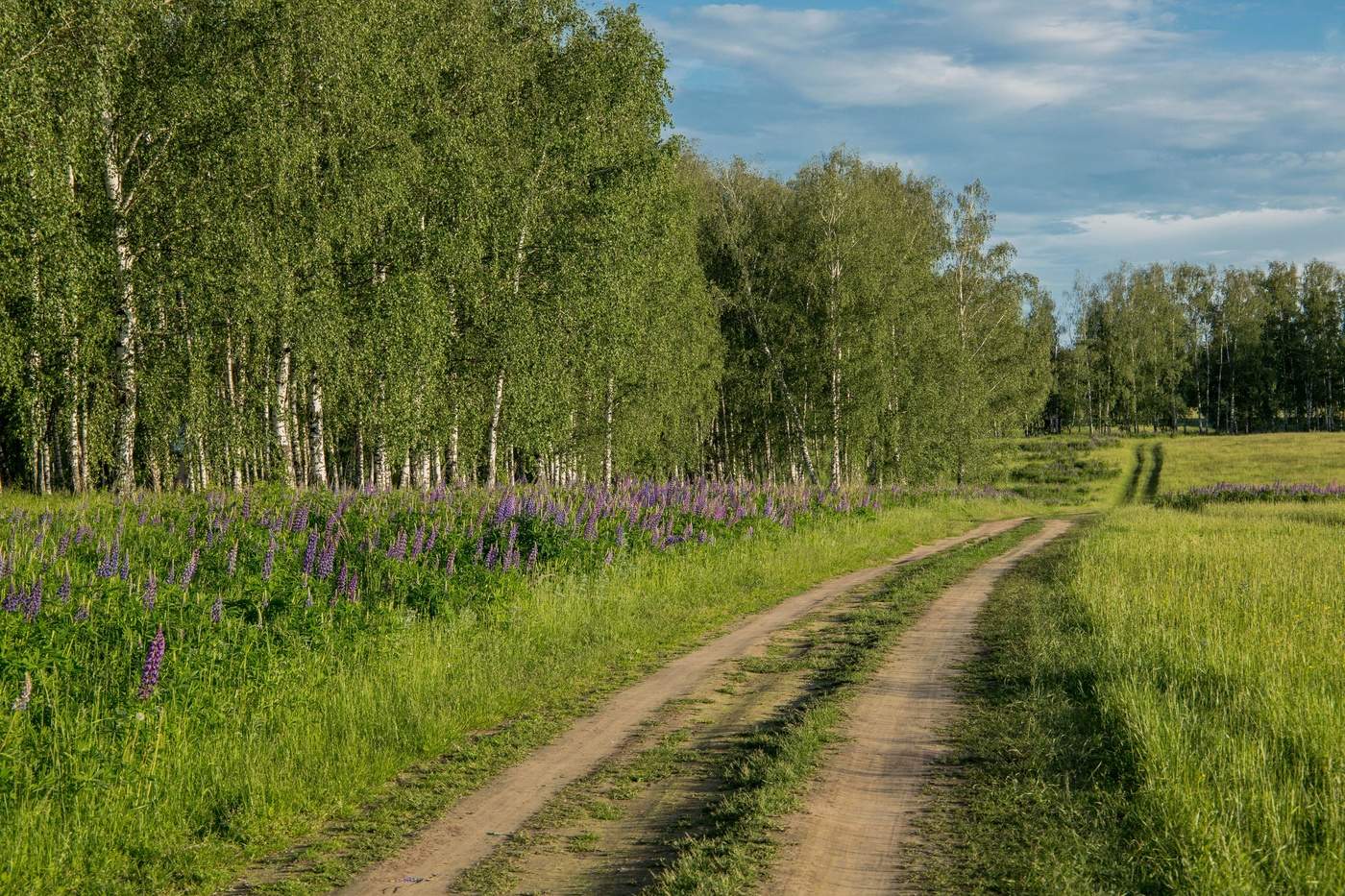 Фото природы татарстана весной