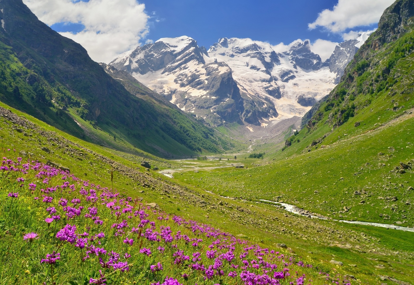 Горы Кавказа цветы лето