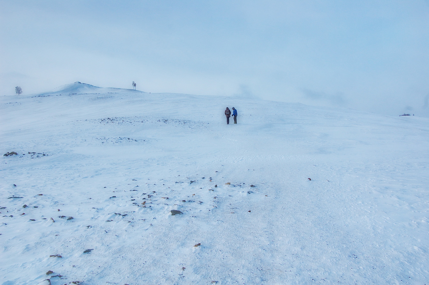 вечернее осенние заснеженные сопки в приморье. верба север сопки снег. зима холодная и сухая снега на сопках. картина зимние сопки. сахалинская область зимой.