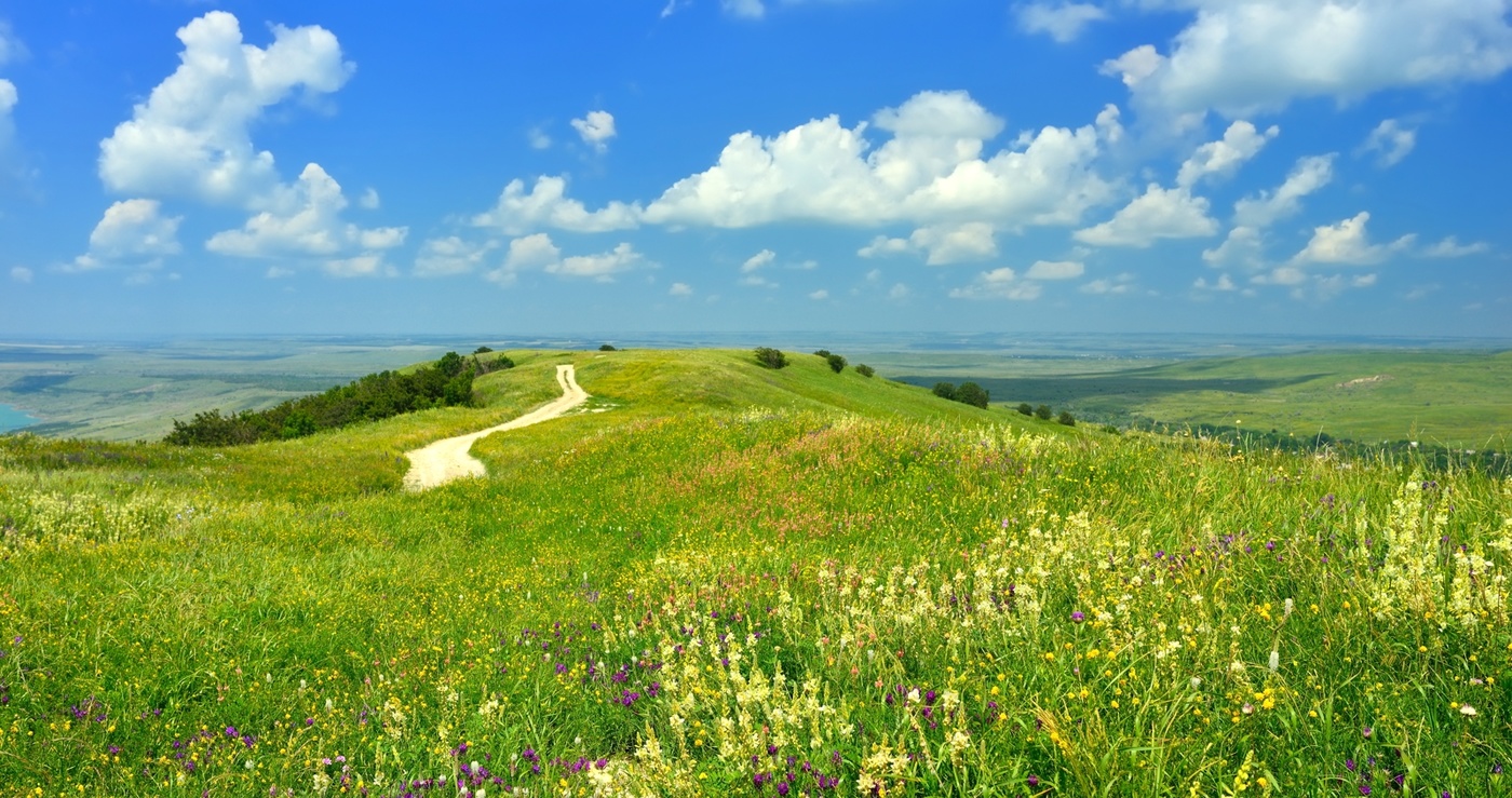 Лето в лесостепи картинки