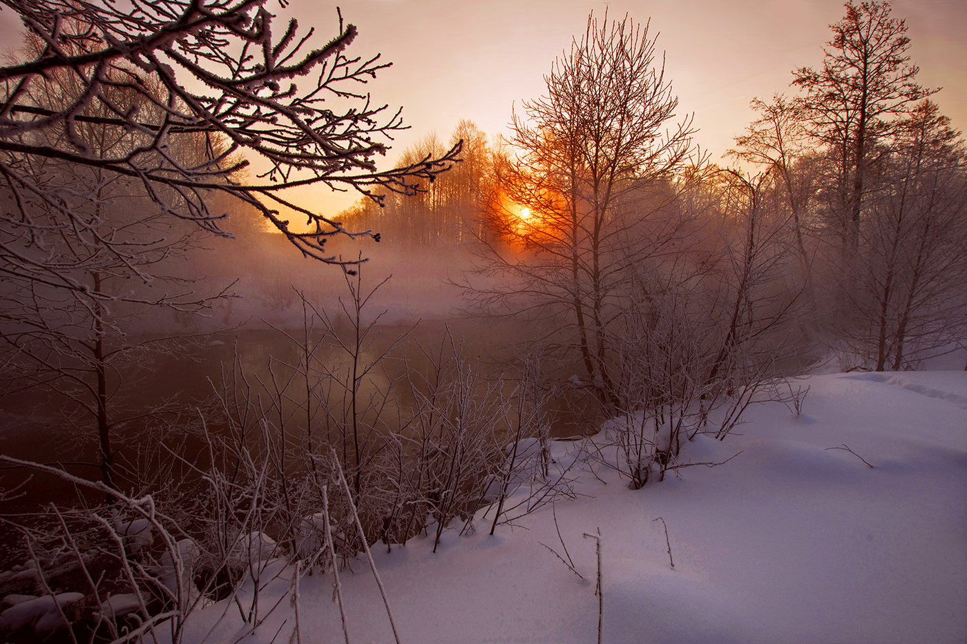 Утро природа февраль. Морозное утро. Февраль природа. Февральский пейзаж. Утро февраля.
