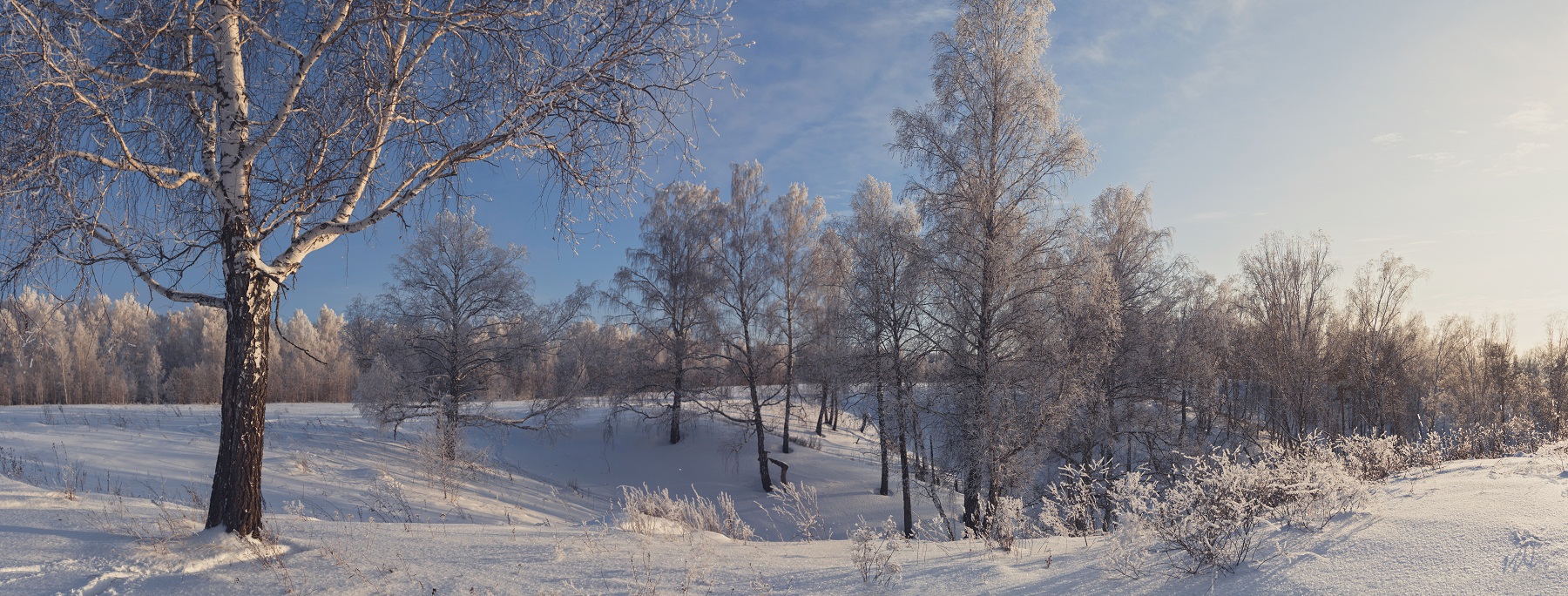 Зима зарисовки фото