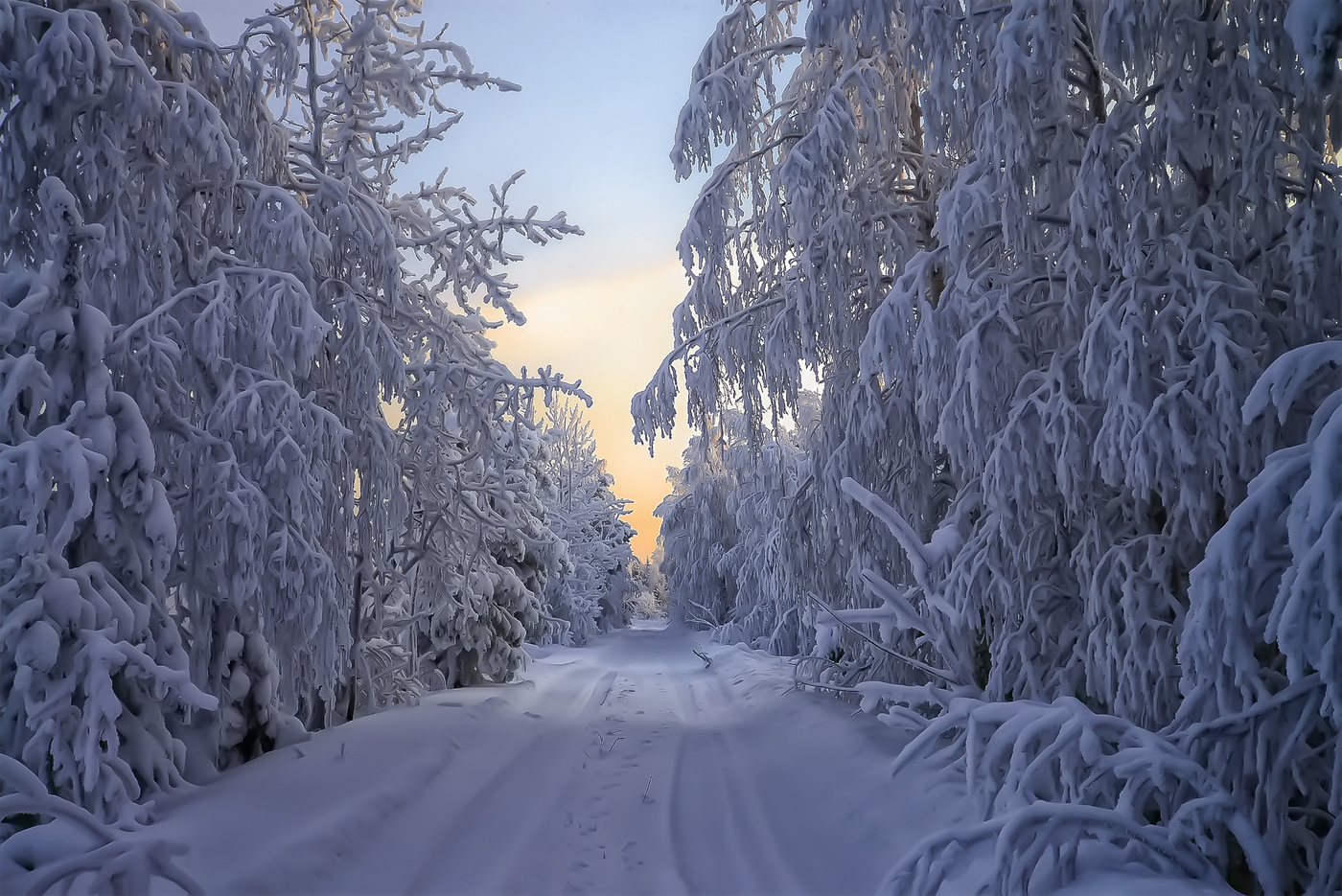 Природа Коми края зимой
