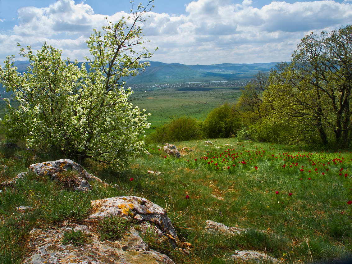 Весна в горах крыма