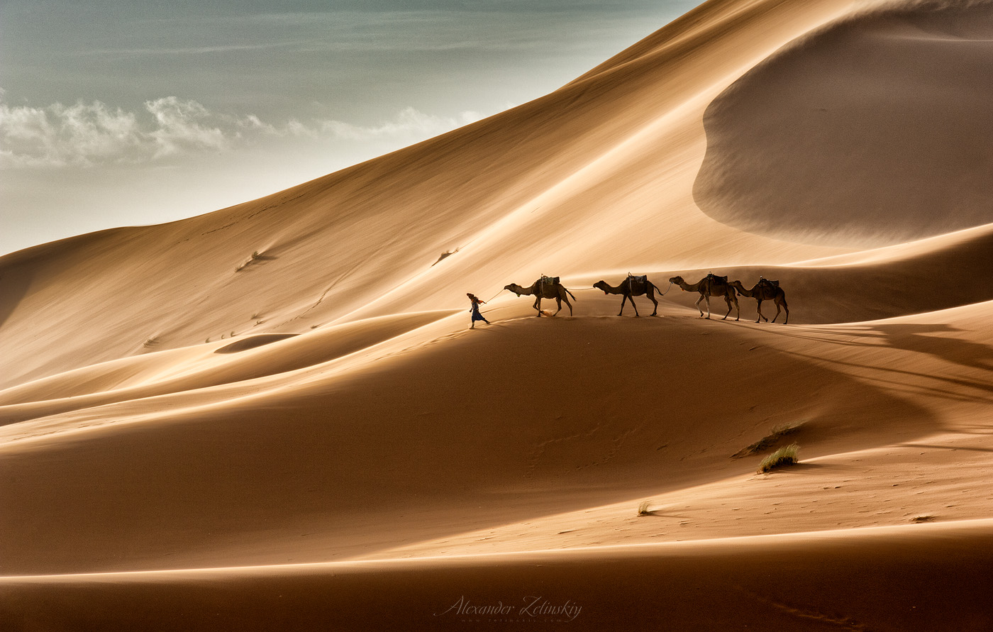 Далекий караван. Песчаные Барханы Египта. Песчаные дюны Египет. Пустыня сахара Барханы. Дюны Барханы Караван.