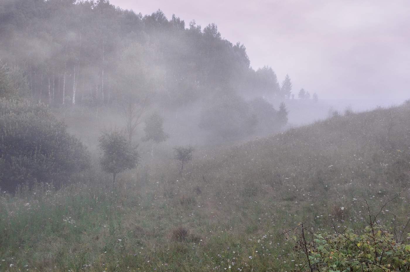 Утром в низинах расстилался. Туманы растуманы. Посадка в туман. Утром в низинах расстилался туман. Ой,туман закрыл...