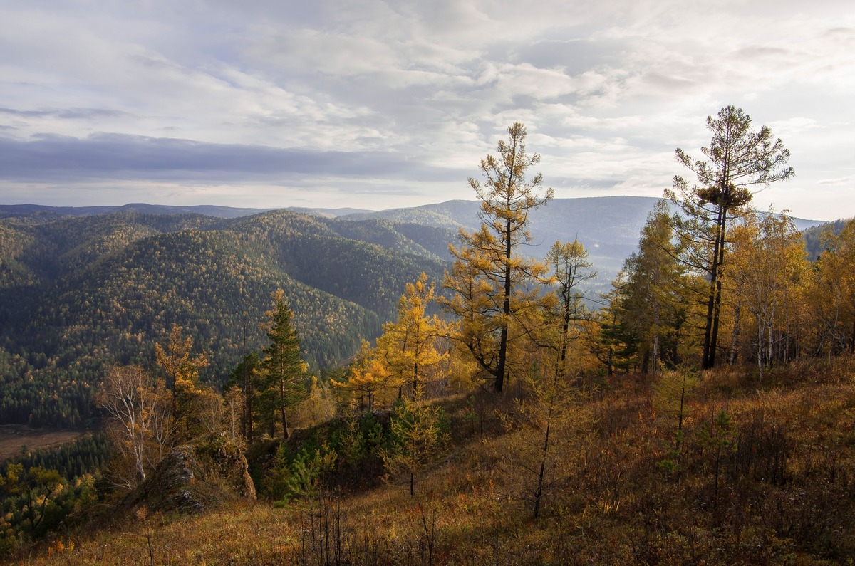 осенний красноярск фото